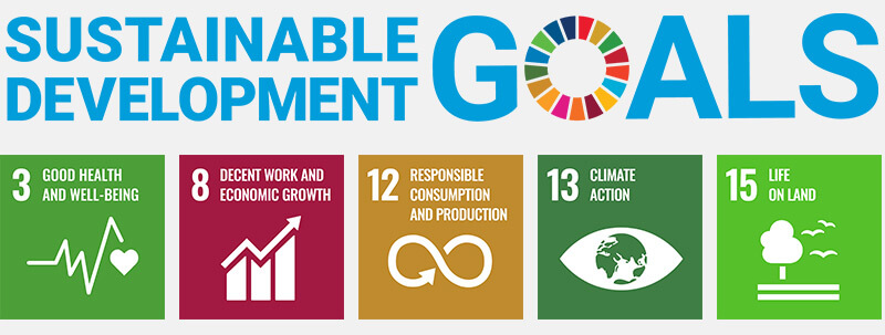 Globala målen trece hållbarhet